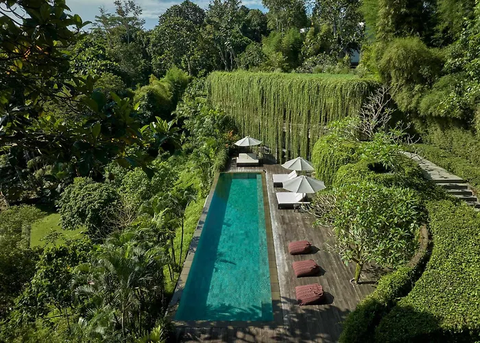 Chameleon Bali * Tabanan (Bali)