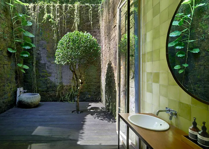 Chameleon Bali